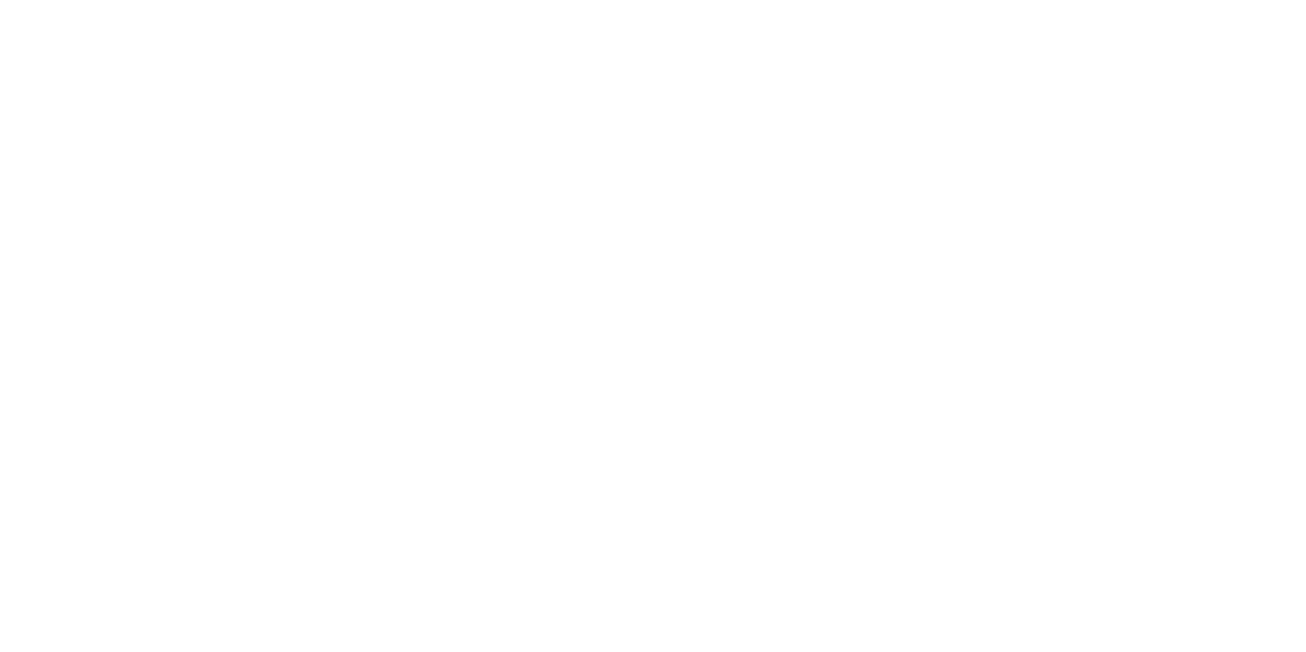 Logo Natua white